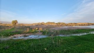 2023-11-GranCan-Maspalomas_Oasis-47.jpg